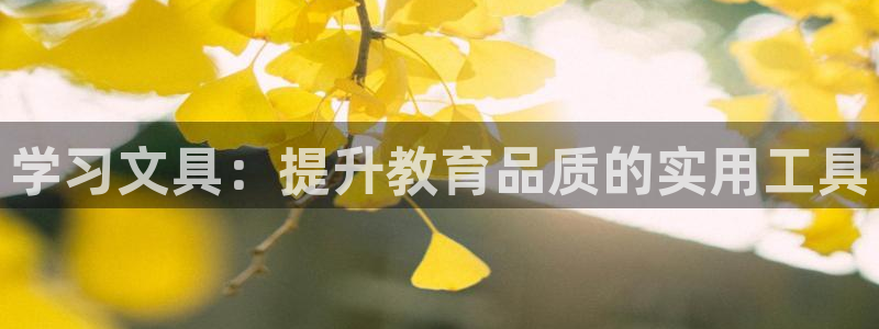 SKY娱乐卧龙招商60447：学习文具：