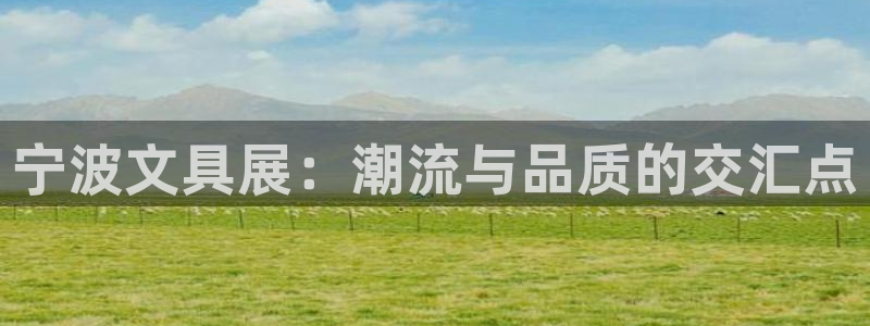 星酱娱乐卧龙：宁波文具展：潮流与品质的交