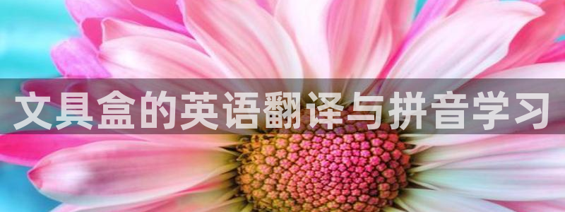 卧龙娱乐总代理是谁呀：文具盒的英语翻译与