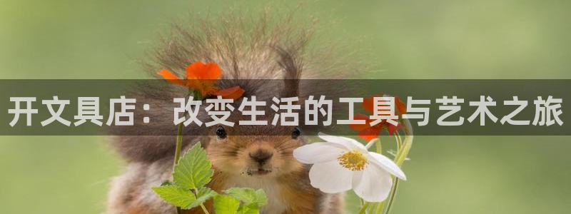 卧龙说娱乐：开文具店：改变生活的工具与艺