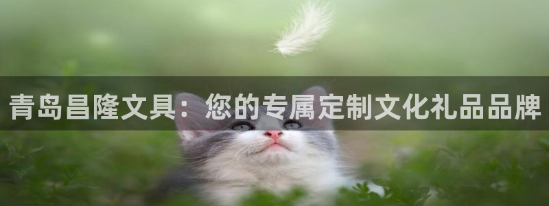 卧龙娱乐app下载：青岛昌隆文具：您的专