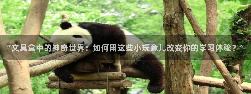 卧龙娱乐月7O667：“文具盒中的神奇世