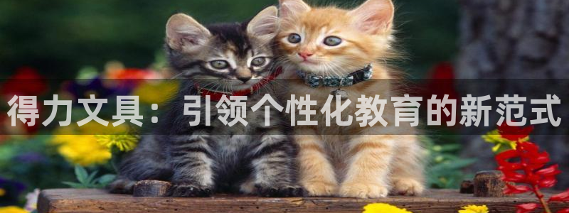 卧龙娱乐气垫项目投资：得力文具：引领个性