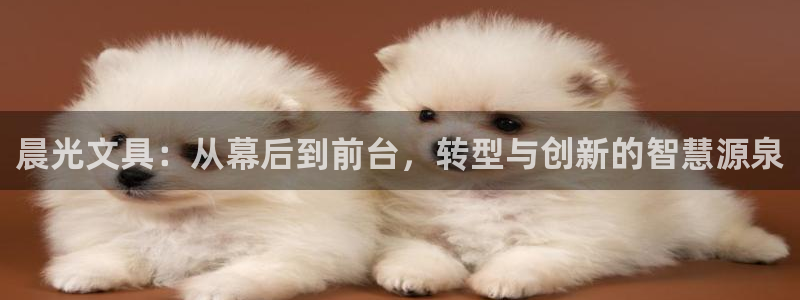 卧龙桥休闲娱乐园：晨光文具：从幕后到前台