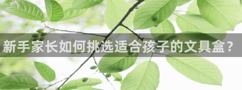 溧水卧龙湖娱乐：新手家长如何挑选适合孩子