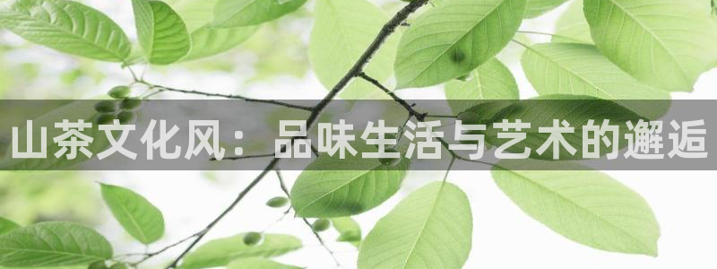 卧龙娱乐测速：山茶文化风：品味生活与艺术