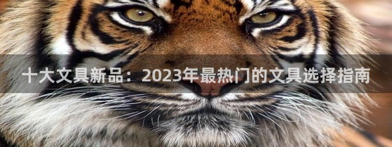 卧龙娱乐老板：十大文具新品：2023年最