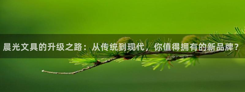 卧龙娱乐日：晨光文具的升级之路：从传统到