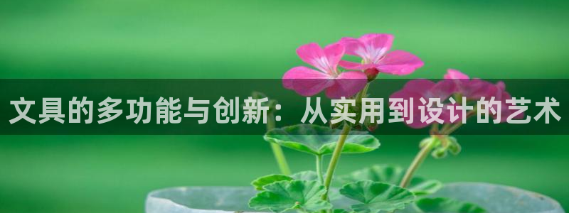 卧龙娱乐是什么意思：文具的多功能与创新：