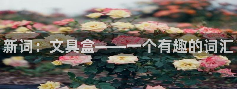 卧龙凤雏娱乐资讯：新词：文具盒——一个有