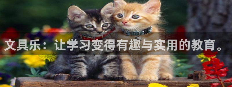 卧龙娱乐：文具乐：让学习变得有趣与实用的