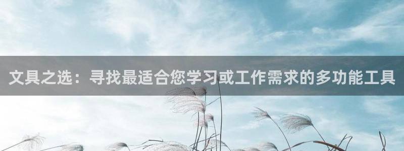 卧龙吟娱乐玩法：文具之选：寻找最适合您学