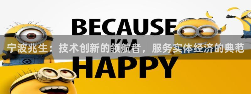 卧龙凤雏娱乐夫妻：宁波兆生：技术创新的领