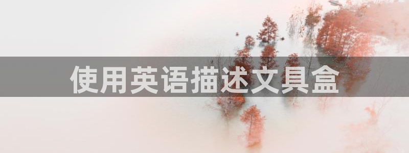 卧龙娱乐怎么注册：使用英语描述文具盒