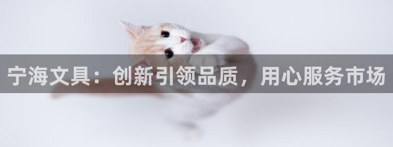 卧龙吟娱乐玩法：宁海文具：创新引领品质，