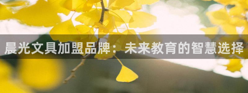 卧龙娱乐平台登录：晨光文具加盟品牌：未来