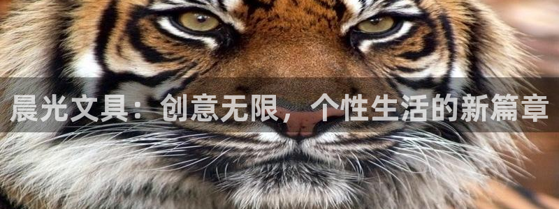 卧龙凤雏娱乐夫妻：晨光文具：创意无限，个