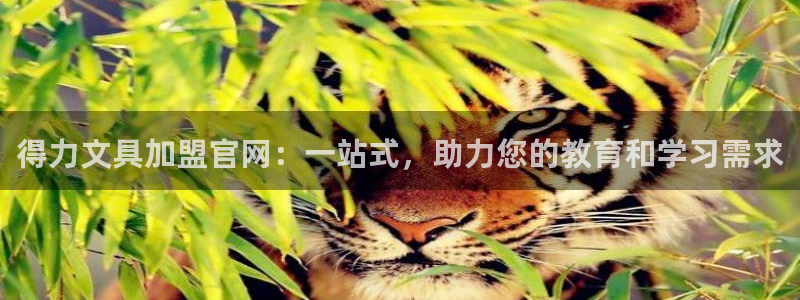 卧龙娱乐老板是谁啊：得力文具加盟官网：一