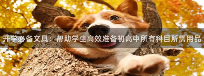 卧龙吟娱乐将：开学必备文具：帮助学生高效