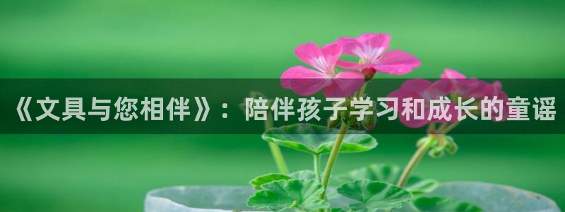 柏林娱乐  0 卧龙：《文具与您相伴》：