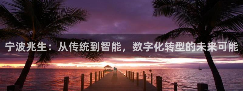 卧龙娱乐：宁波兆生：从传统到智能，数字化