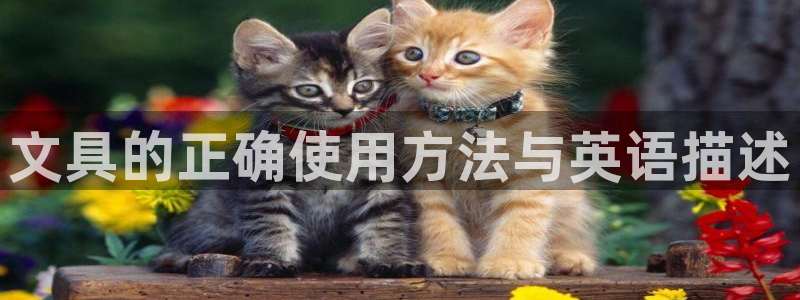 卧龙区休闲娱乐：文具的正确使用方法与英语