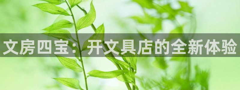 卧龙2娱乐雀711112：文房四宝：开文