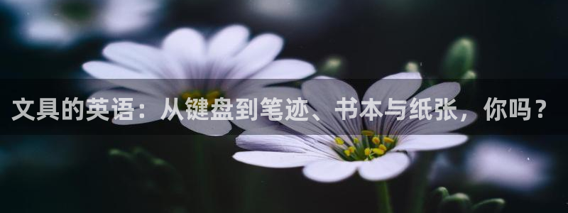 卧龙娱乐APP：文具的英语：从键盘到笔迹