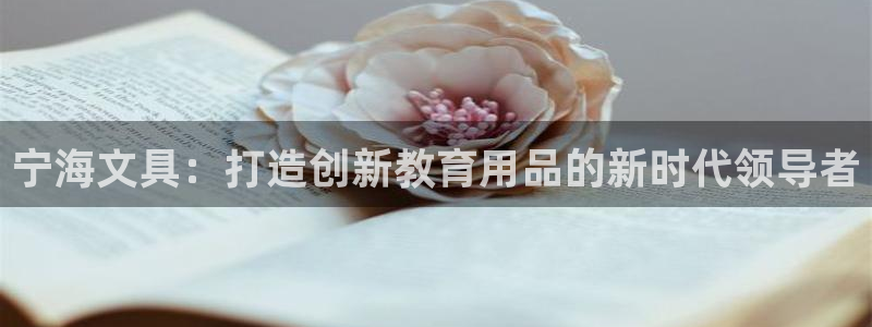 卧龙娱乐382223主管：宁海文具：打造