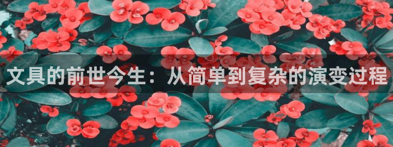 HR娱乐卧龙招商60447：文具的前世今