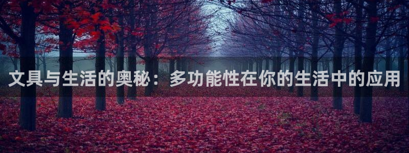 we娱乐 卧龙主管60447：文具与生活