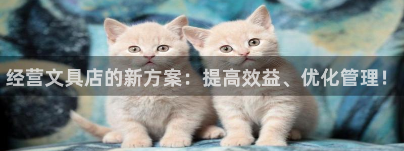 卧龙风雏娱乐：经营文具店的新方案：提高效