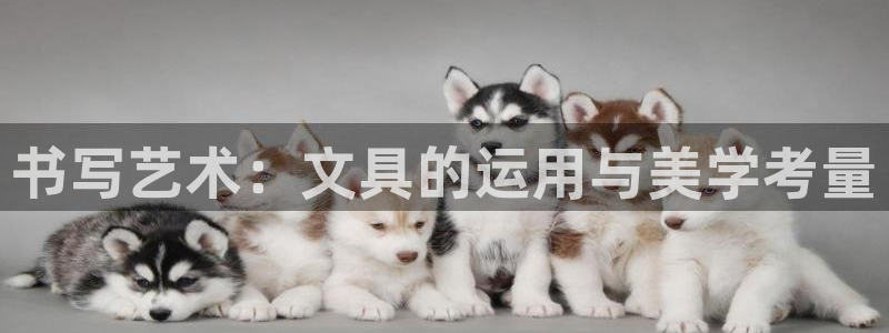 卧龙娱乐在线直播网页：书写艺术：文具的运