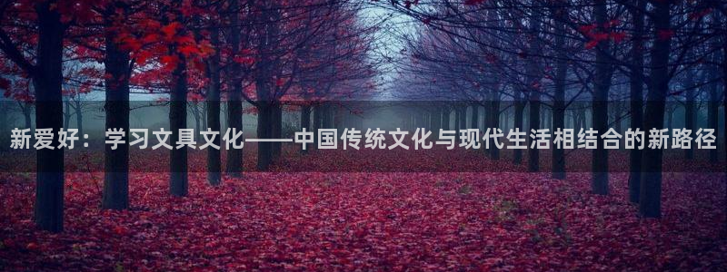 卧龙娱乐能出款吗：新爱好：学习文具文化—