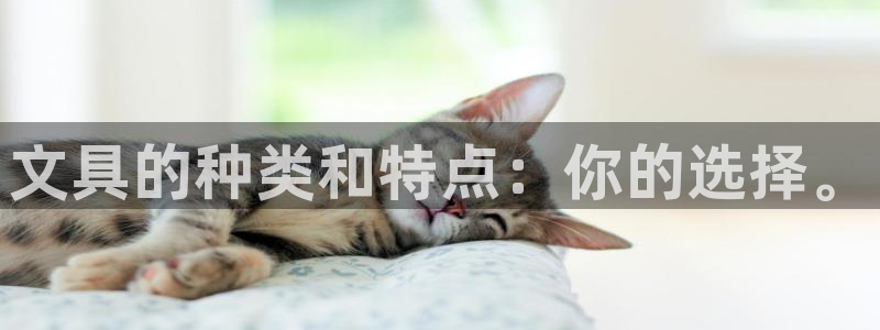 卧龙娱乐在线直播：文具的种类和特点：你的