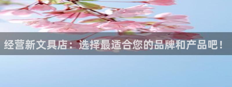 卧龙娱乐老板：经营新文具店：选择最适合您