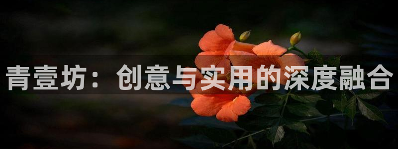 卧龙岗娱乐馆：青壹坊：创意与实用的深度融