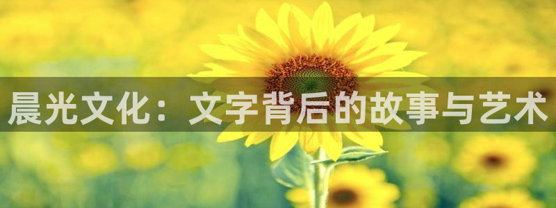 郑州卧龙娱乐设备：晨光文化：文字背后的故