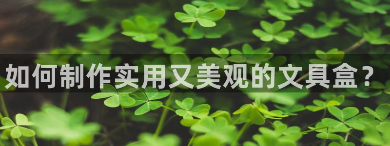 卧龙环岛儿童娱乐：如何制作实用又美观的文