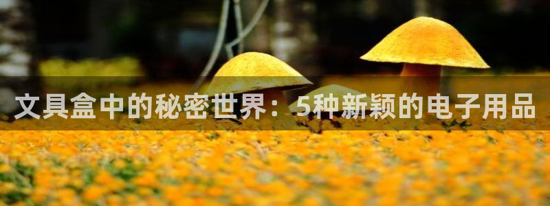 卧龙娱乐招商主管：文具盒中的秘密世界：5