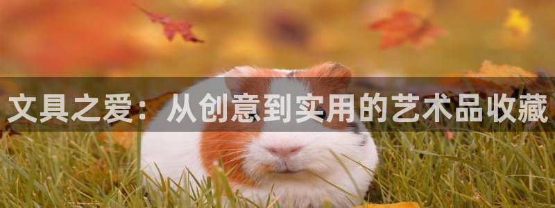 卧龙娱乐32二九01：文具之爱：从创意到