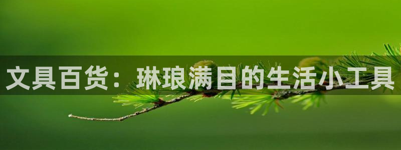 悉尼卧龙岗娱乐：文具百货：琳琅满目的生活