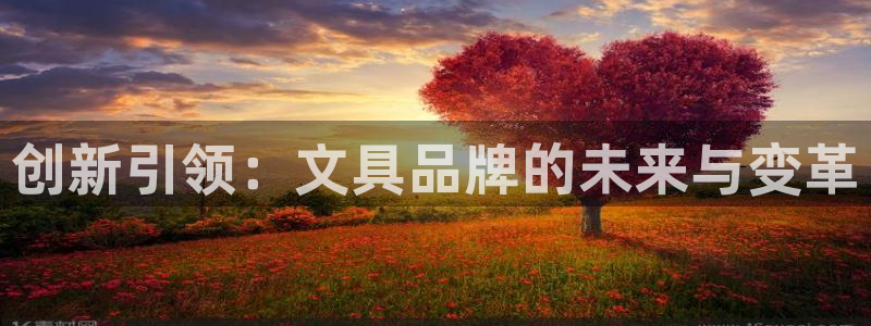 卧龙娱乐怎样：创新引领：文具品牌的未来与