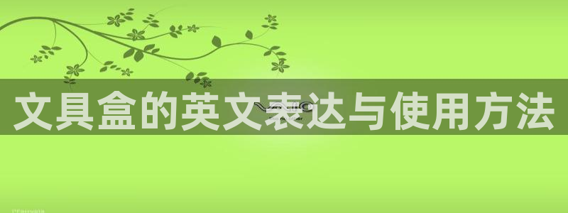 卧龙娱乐总代理是谁呀：文具盒的英文表达与