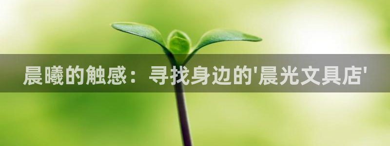 南阳卧龙站到尊上娱乐：晨曦的触感：寻找身