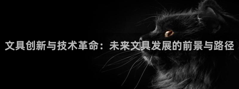 卧龙娱乐老板叫什么：文具创新与技术革命：