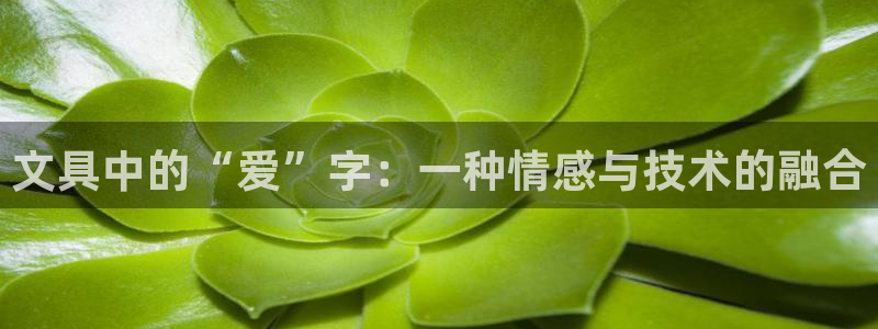绥阳卧龙湖娱乐场所：文具中的“爱”字：一