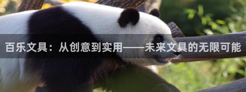 卧龙娱乐气垫项目投资：百乐文具：从创意到