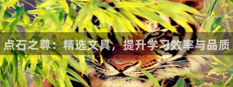 肥羊娱乐卧龙凤雏：点石之尊：精选文具，提