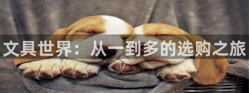 SKY娱乐 卧龙股东60447：文具世界